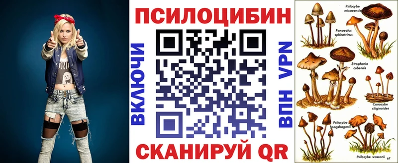 Галлюциногенные грибы Cubensis  Макушино 